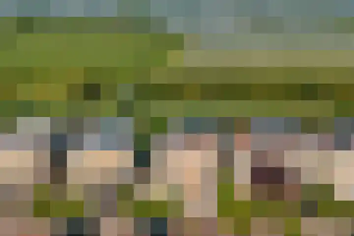 Zilverschoonlaan 71 Vleuten thumbnail 48