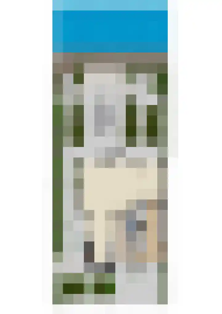 Zilverschoonlaan 71 Vleuten thumbnail 53