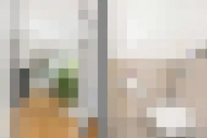 Zilverschoonlaan 71 Vleuten thumbnail 6