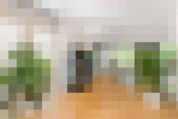 Zilverschoonlaan 71 Vleuten thumbnail 7