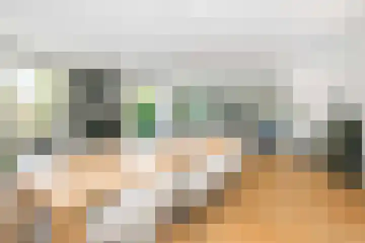 Zilverschoonlaan 71 Vleuten thumbnail 8