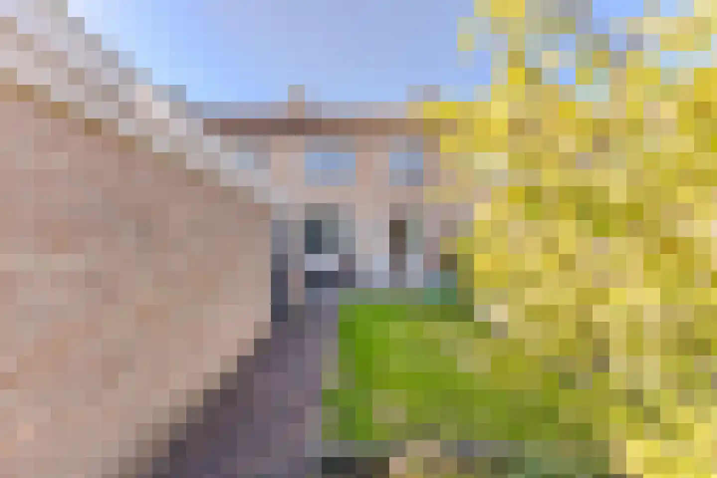 Zilverschoonlaan 9 Krommenie thumbnail 14