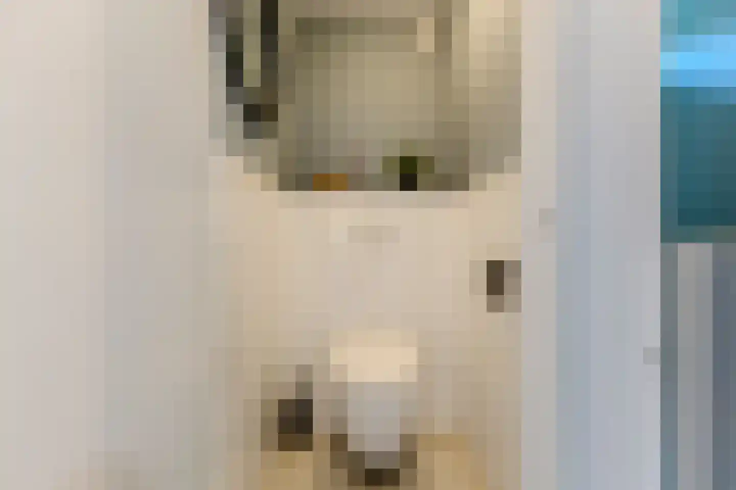 Zilverschoonlaan 9 Krommenie thumbnail 19