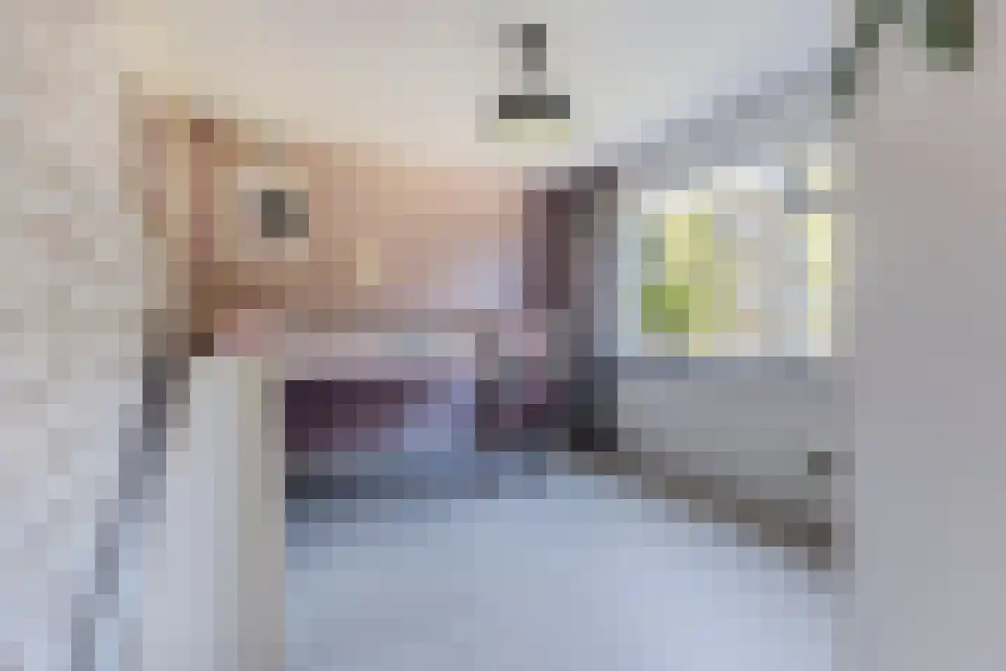 Zilverschoonlaan 9 Krommenie thumbnail 20