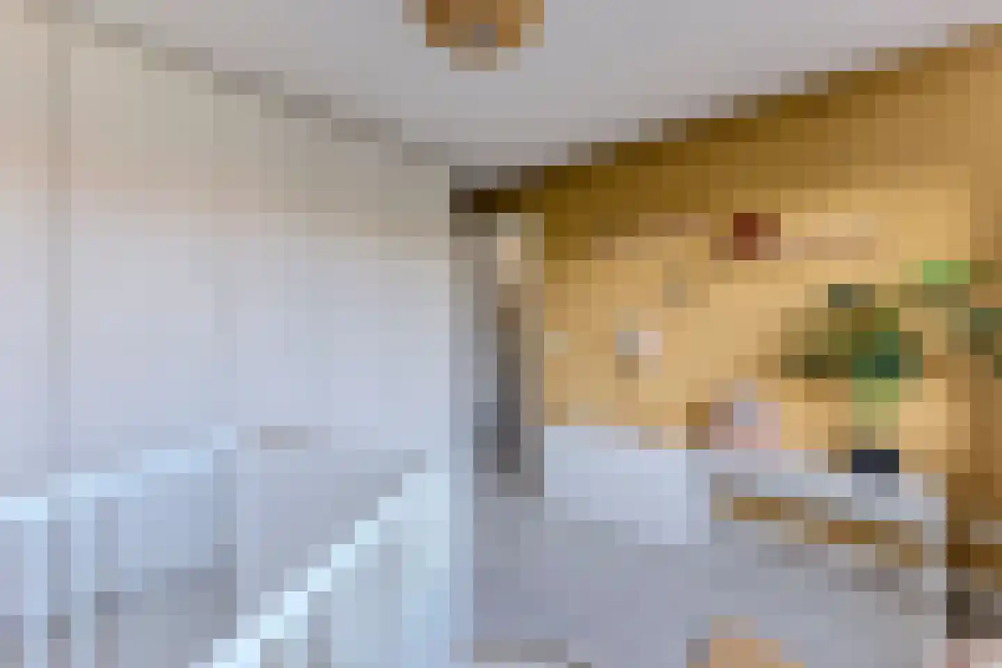 Zilverschoonlaan 9 Krommenie thumbnail 23