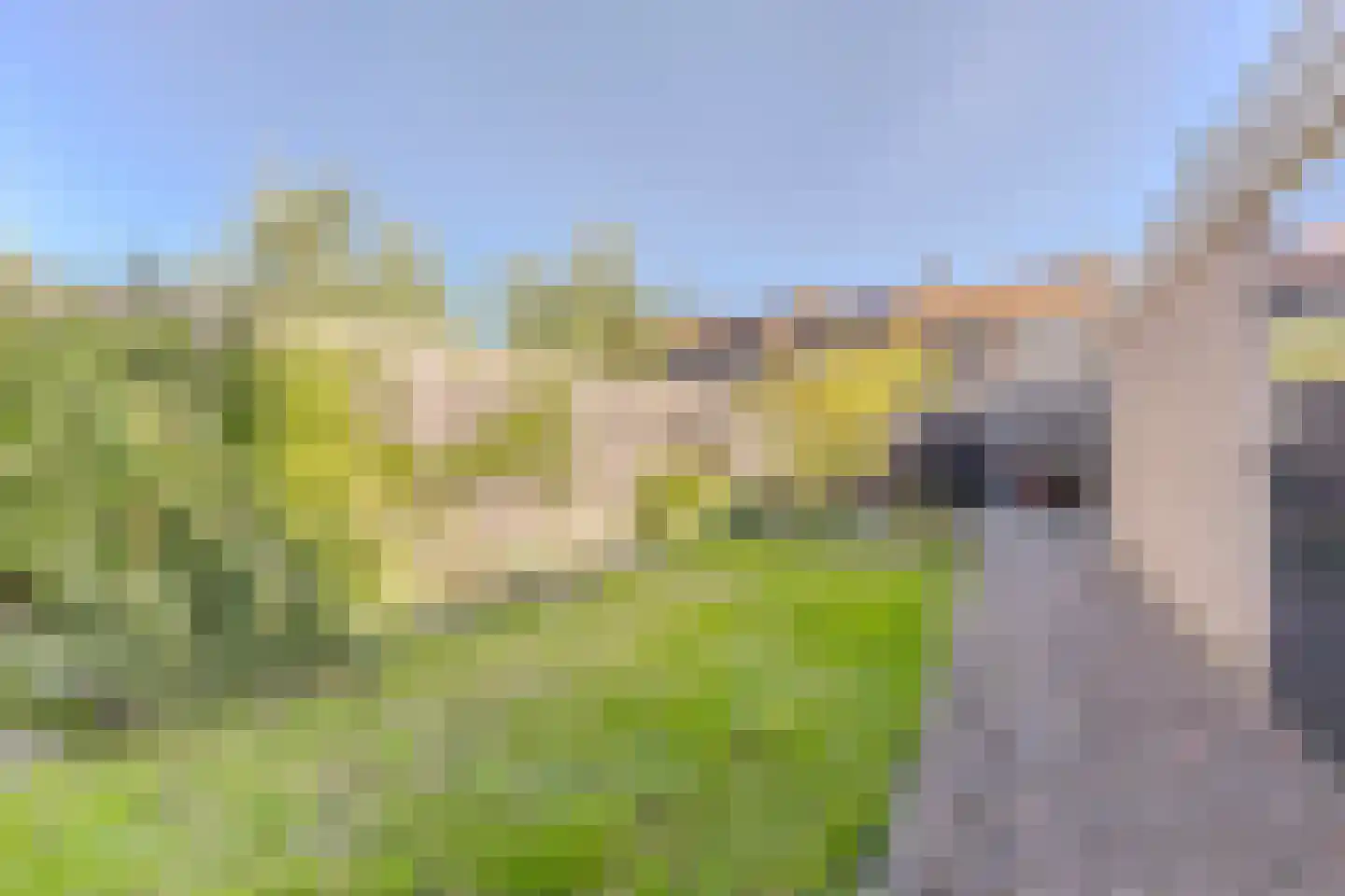 Zilverschoonlaan 9 Krommenie thumbnail 31
