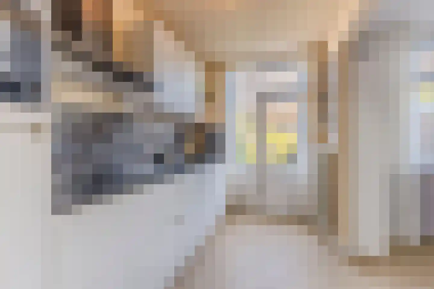Zilverschoonlaan 9 Krommenie thumbnail 7
