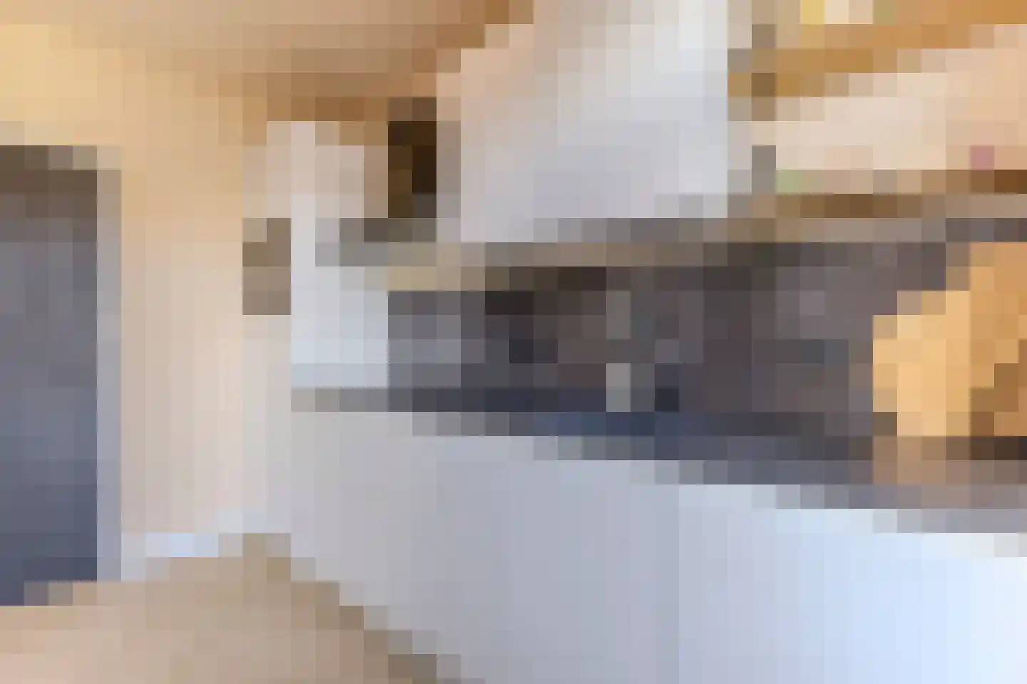 Zilverschoonlaan 9 Krommenie thumbnail 8