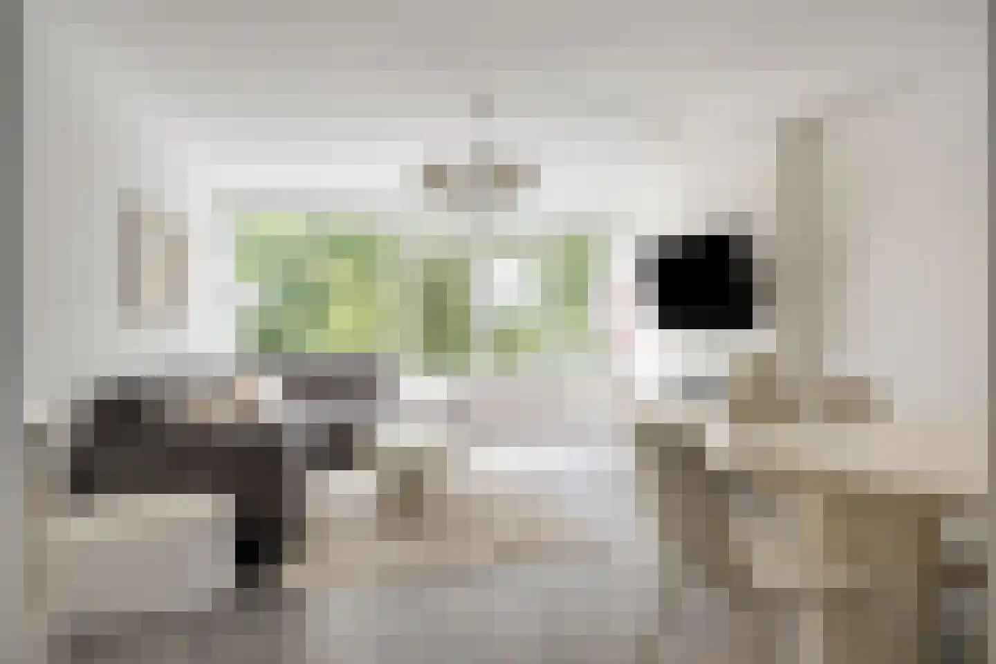 Zilverschoonplein 13 Zaandam thumbnail 5