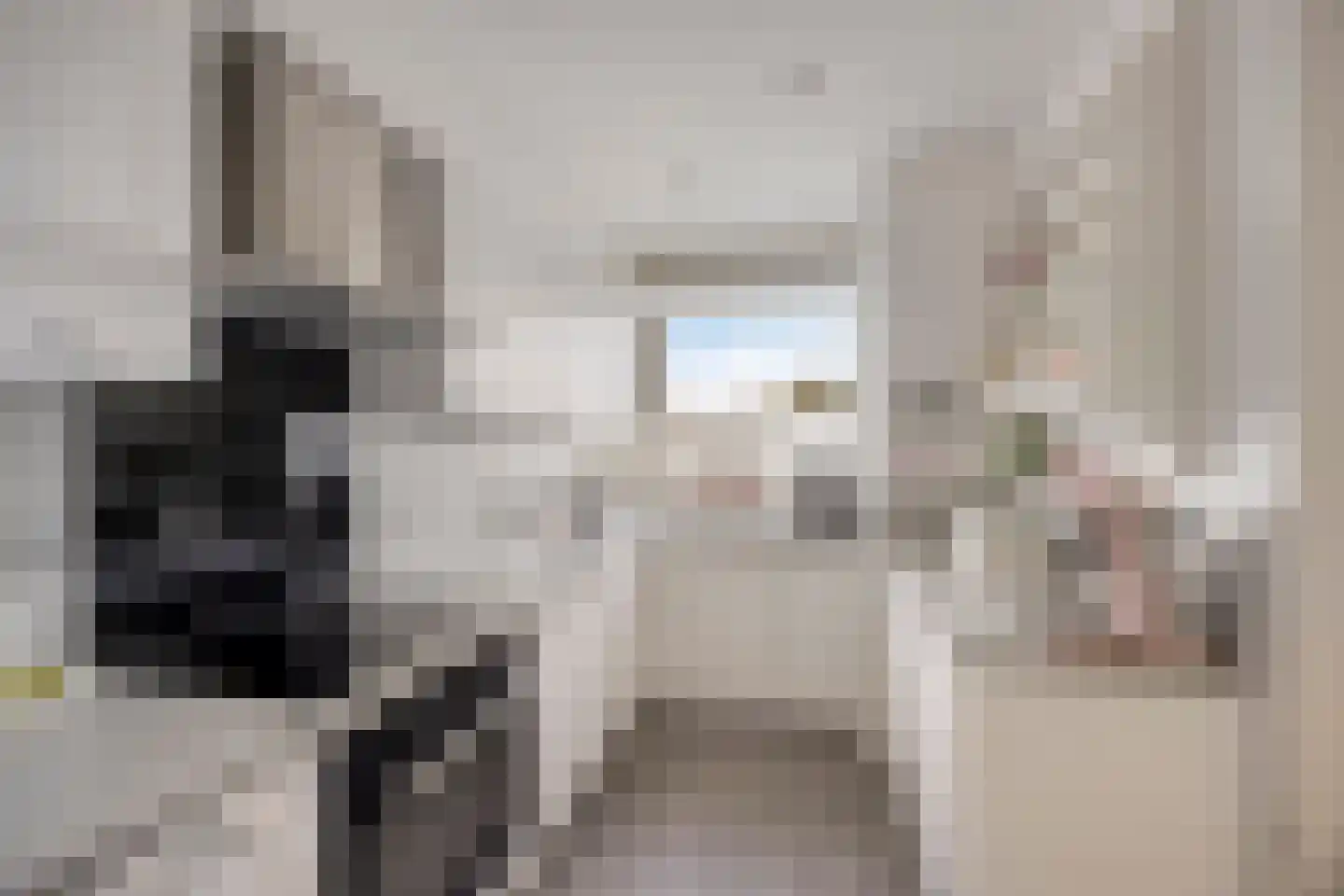 Zilverschoonplein 13 Zaandam thumbnail 7