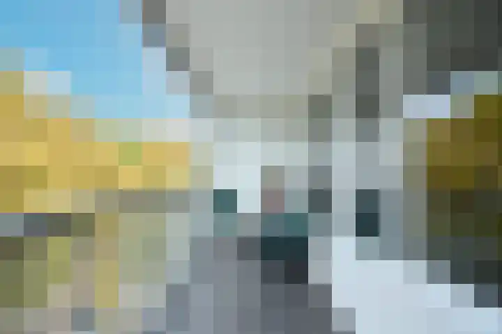 Zilverschoonplein 16 Zaandam thumbnail 12
