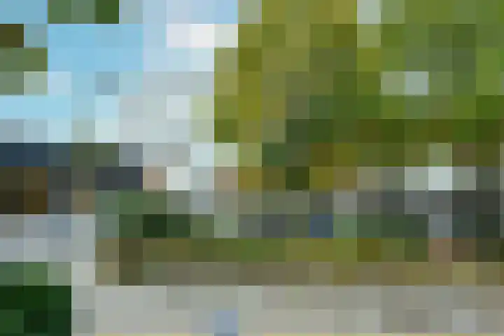 Zilverschoonplein 16 Zaandam thumbnail 24