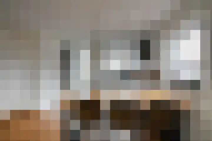 Zilverschoonplein 16 Zaandam thumbnail 5