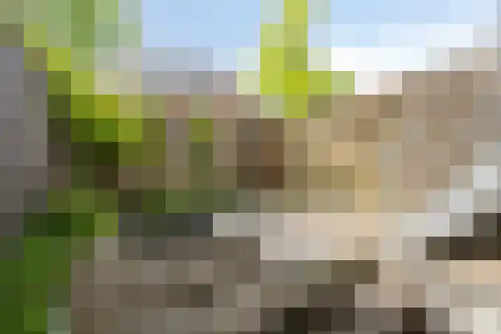 Zilverschoonplein 2 Bergen op Zoom thumbnail 21