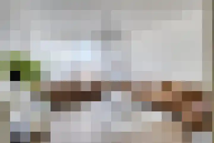 Zilverschoonplein 2 Bergen op Zoom thumbnail 5