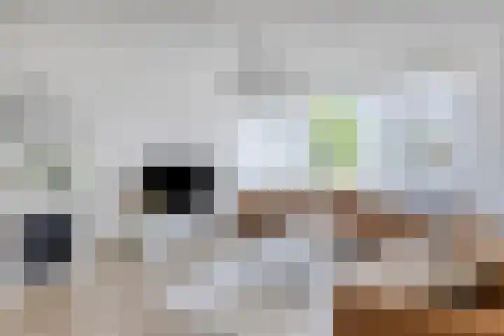 Zilverschoonplein 2 Bergen op Zoom thumbnail 6