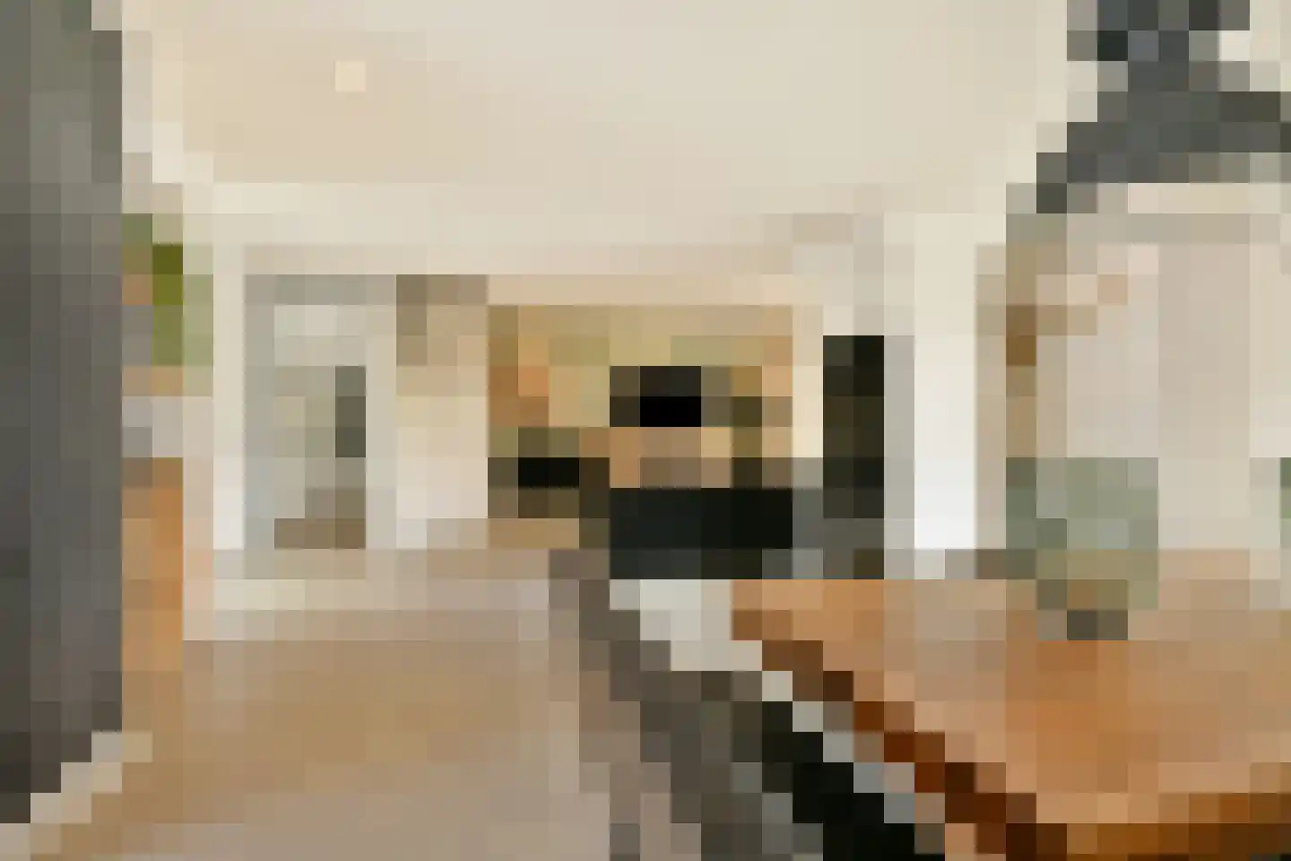 Zilverschoonplein 21 A Zaandam thumbnail 10