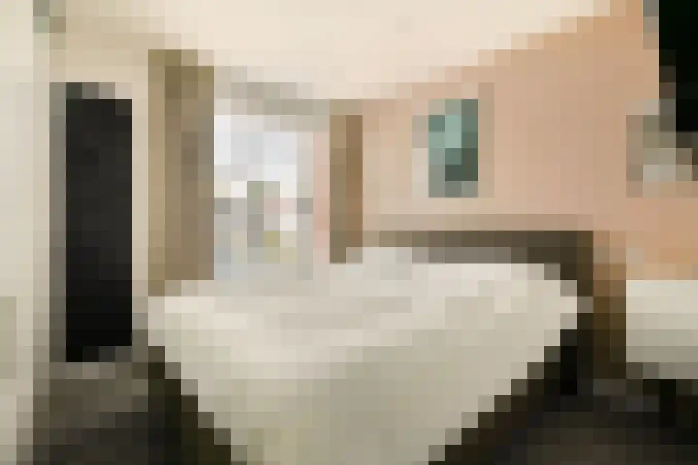 Zilverschoonplein 21 A Zaandam thumbnail 18