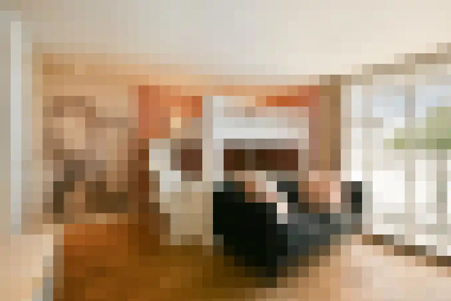 Zilverschoonplein 21 A Zaandam thumbnail 30
