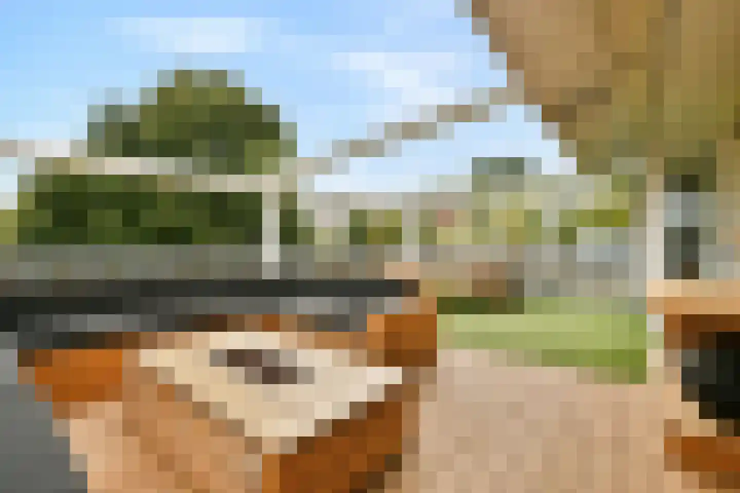 Zilverschoonplein 21 A Zaandam thumbnail 4