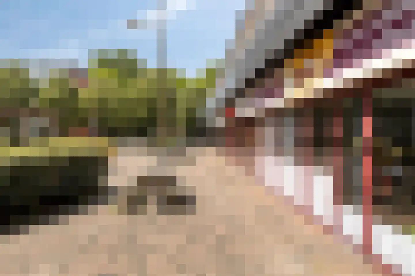 Zilverschoonplein 21 A Zaandam thumbnail 4