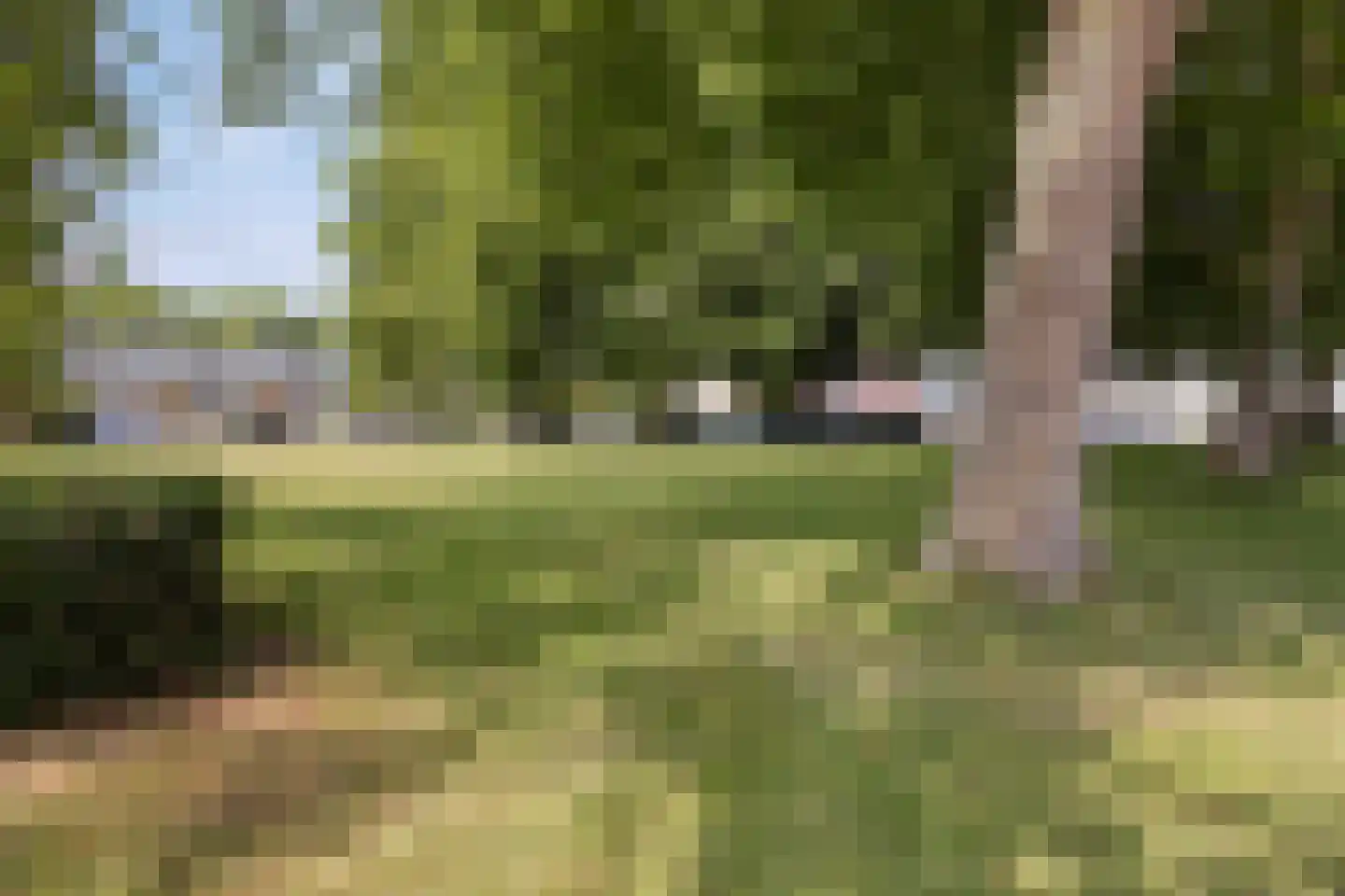 Zilverschoonplein 21 A Zaandam thumbnail 5