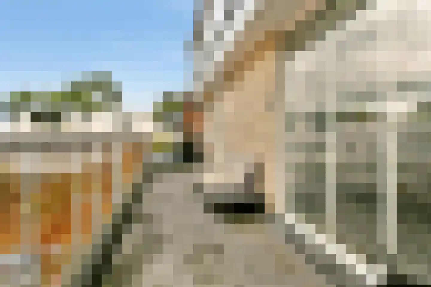 Zilverschoonplein 21 A Zaandam thumbnail 6