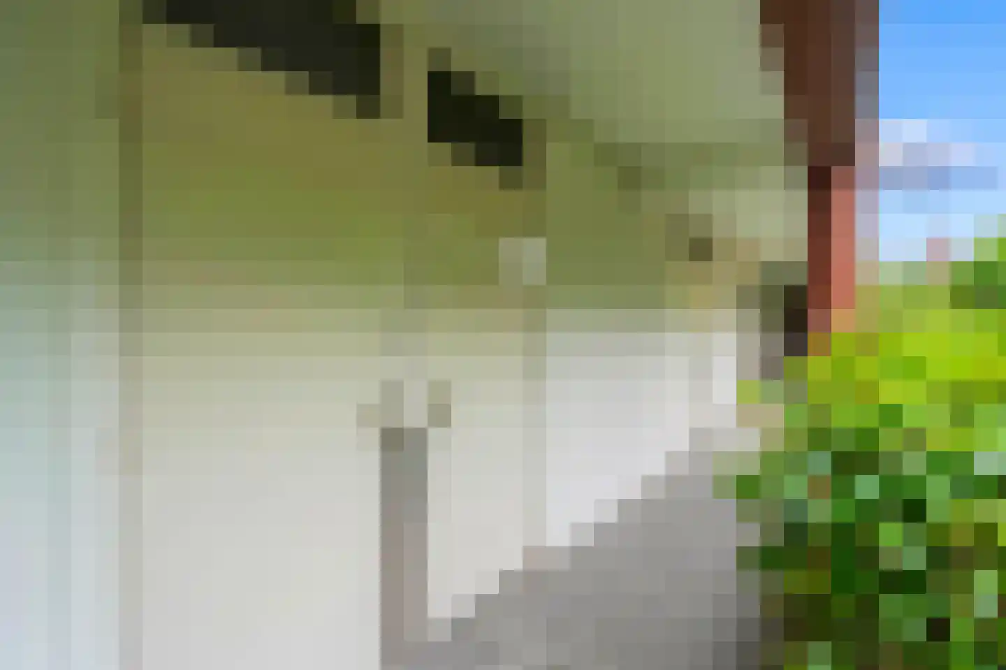 Zilverschoonplein 25 Zaandam thumbnail 33