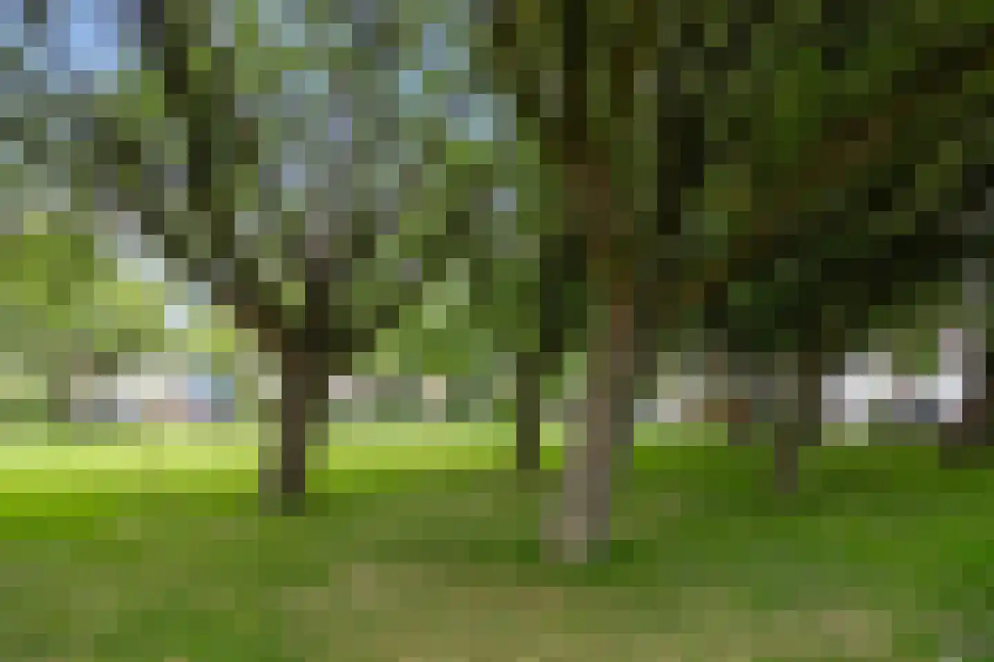 Zilverschoonplein 25 Zaandam thumbnail 35