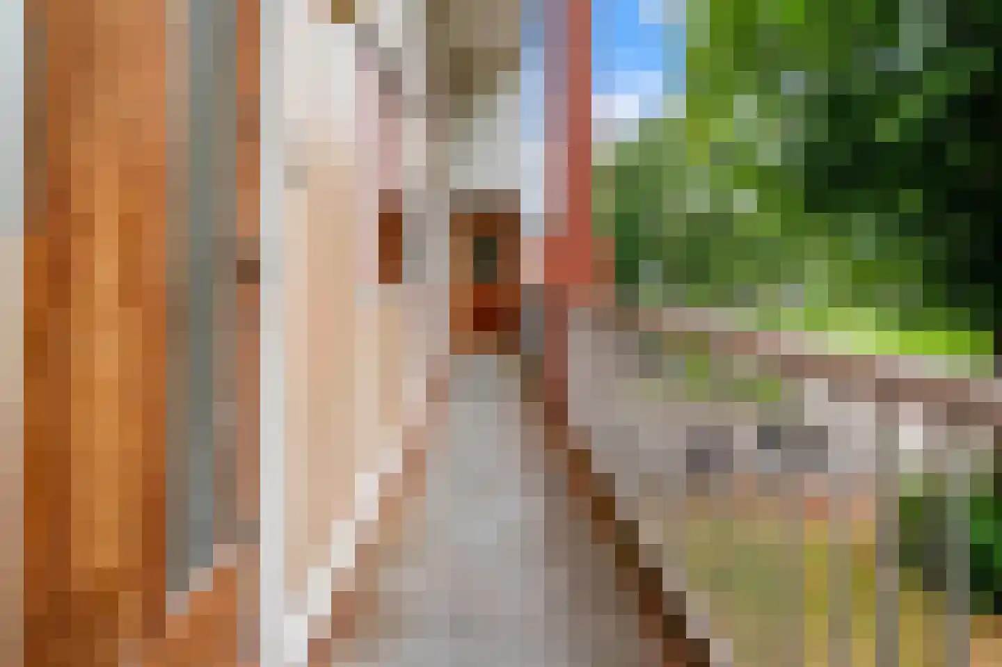 Zilverschoonplein 25 Zaandam thumbnail 9