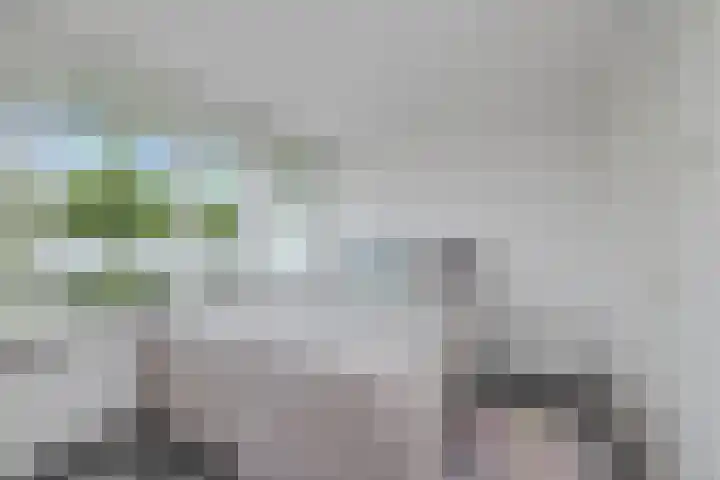Zilverschoonplein 28 Zaandam thumbnail 17