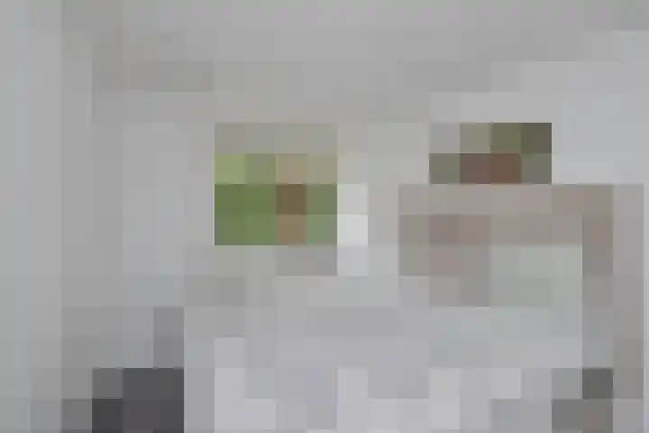 Zilverschoonplein 28 Zaandam thumbnail 23