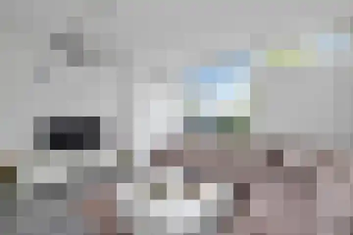 Zilverschoonplein 28 Zaandam thumbnail 8