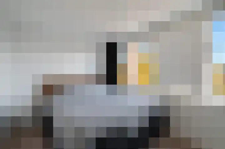 Zilverschoonplein 32 Zaandam thumbnail 17