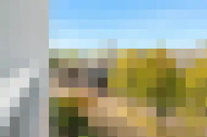 Zilverschoonplein 32 Zaandam thumbnail 9