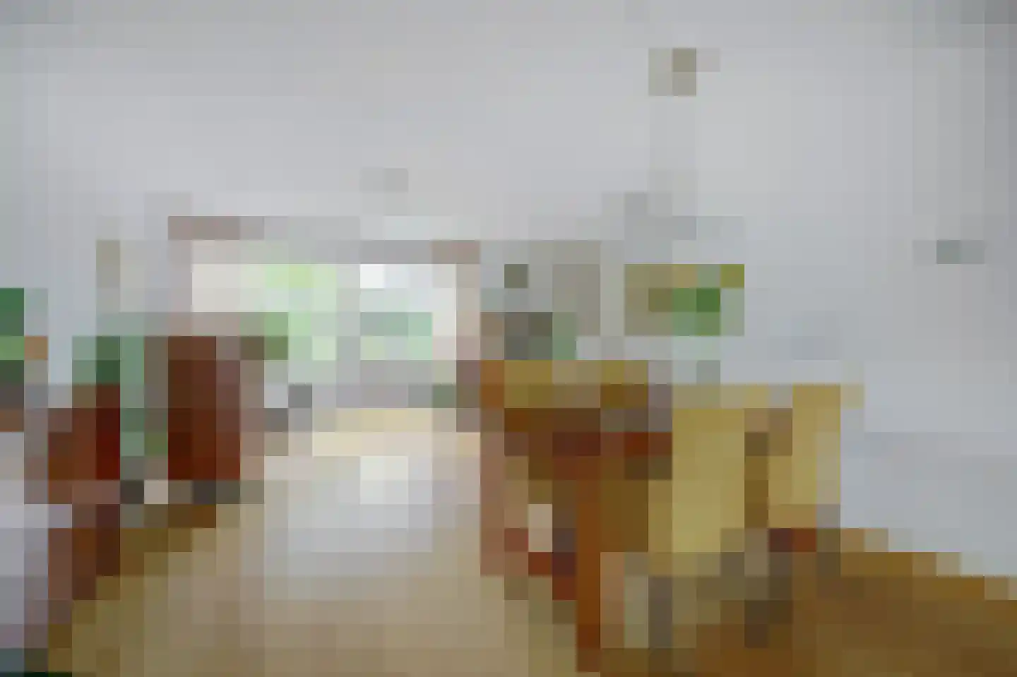 Zilverschoonstraat 16 Heinkenszand thumbnail 10