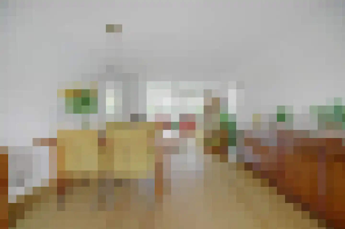 Zilverschoonstraat 16 Heinkenszand thumbnail 11