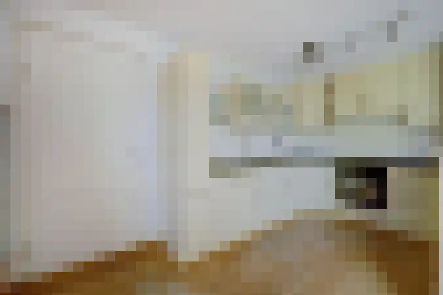 Zilverschoonstraat 16 Heinkenszand thumbnail 16