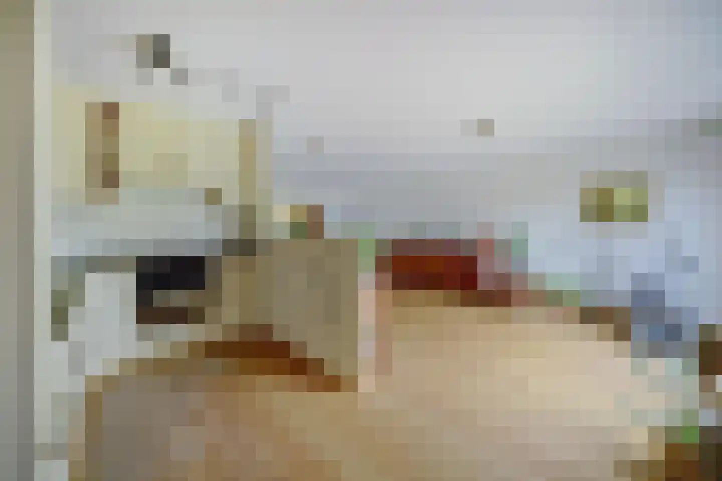 Zilverschoonstraat 16 Heinkenszand thumbnail 17