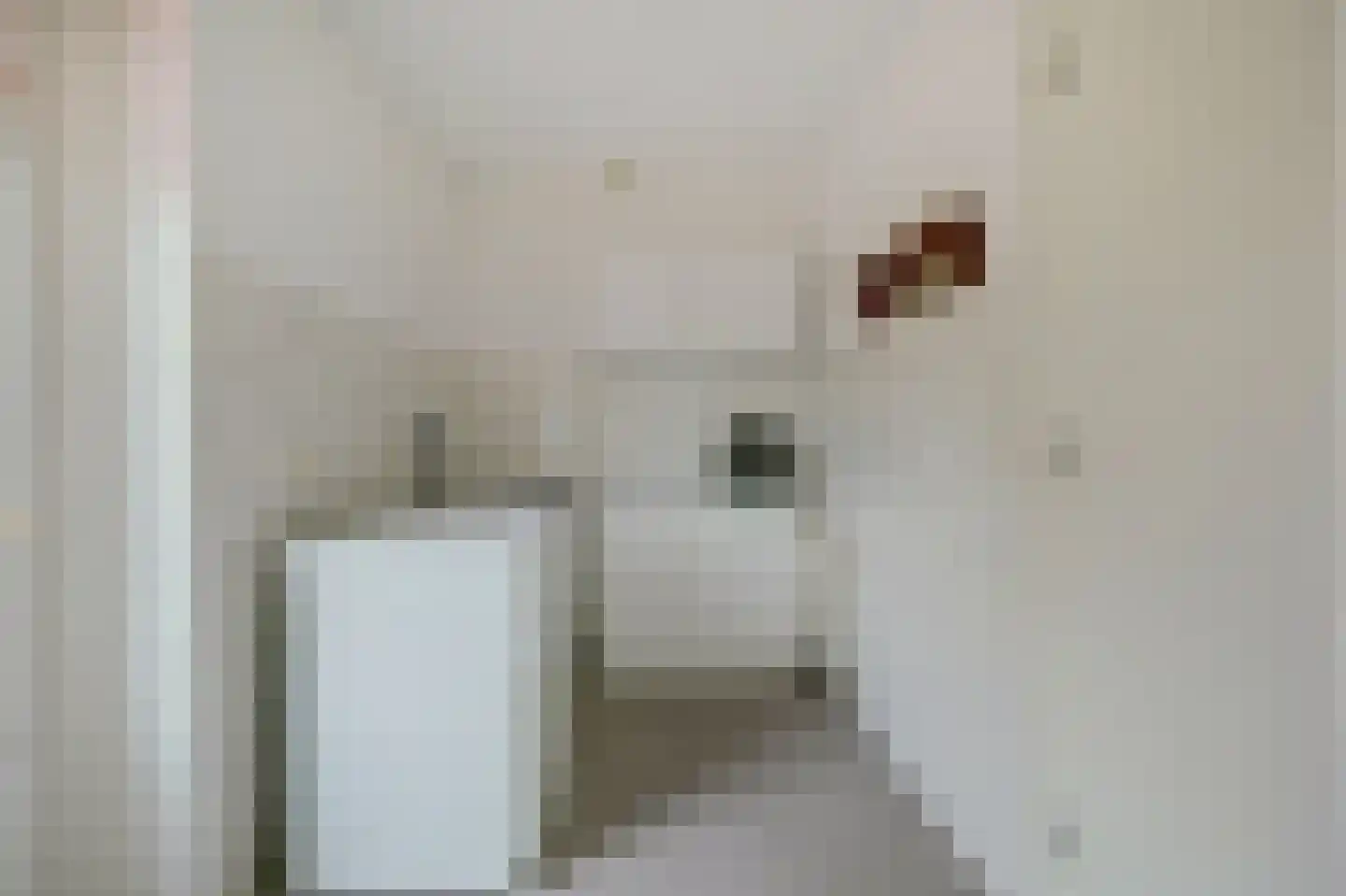 Zilverschoonstraat 16 Heinkenszand thumbnail 20