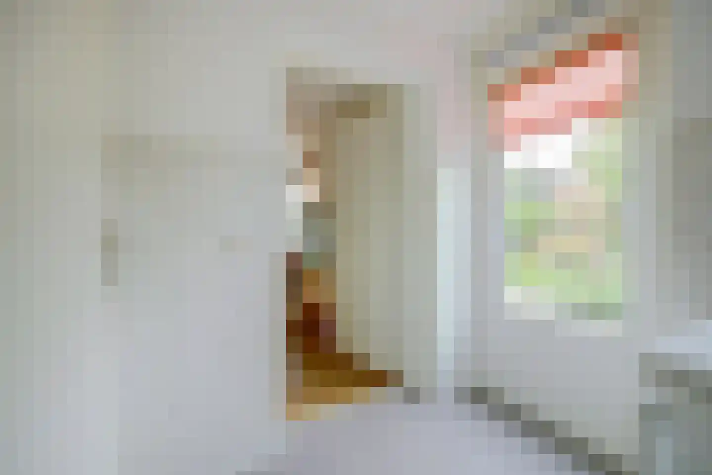 Zilverschoonstraat 16 Heinkenszand thumbnail 21