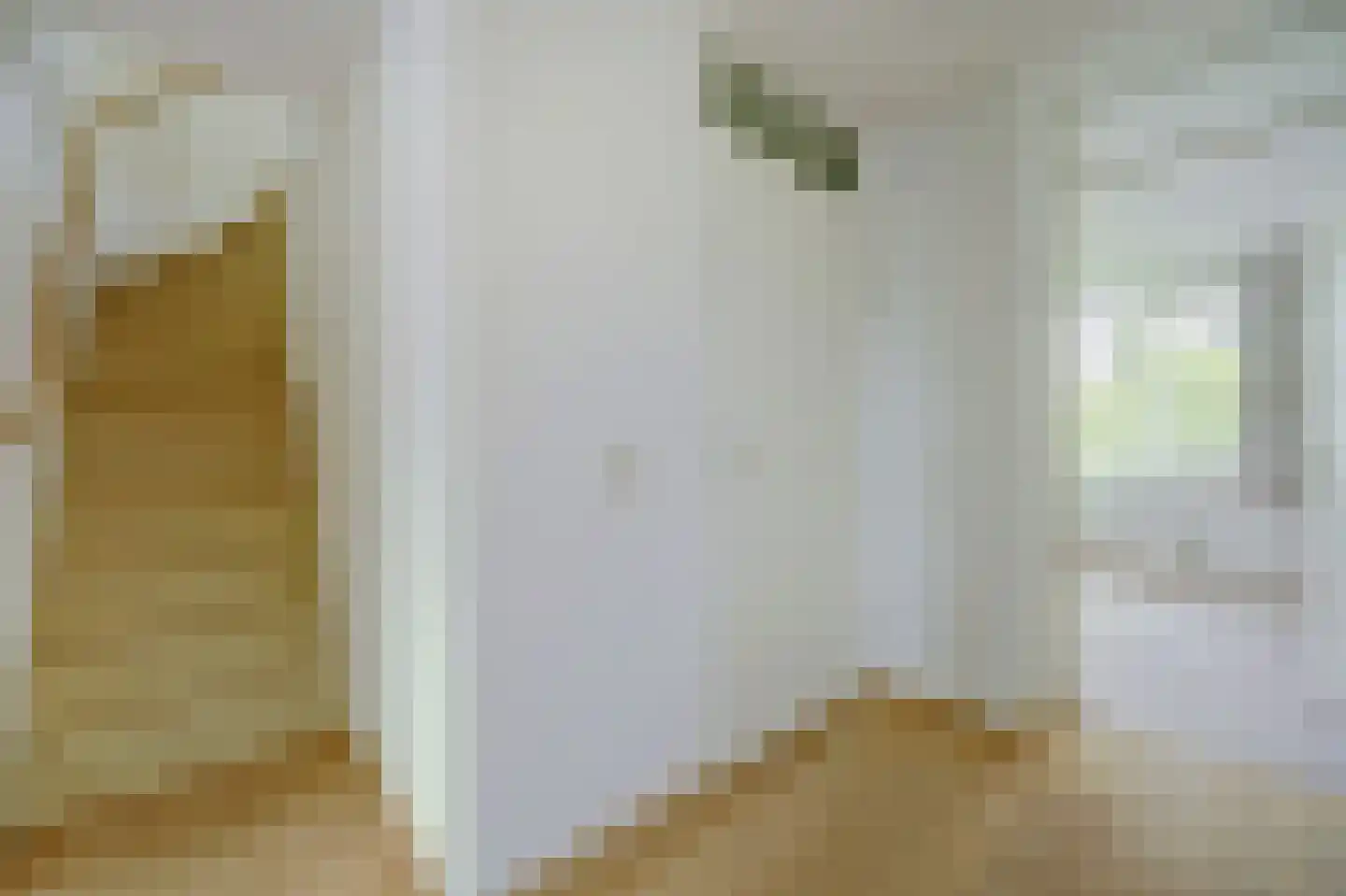 Zilverschoonstraat 16 Heinkenszand thumbnail 22