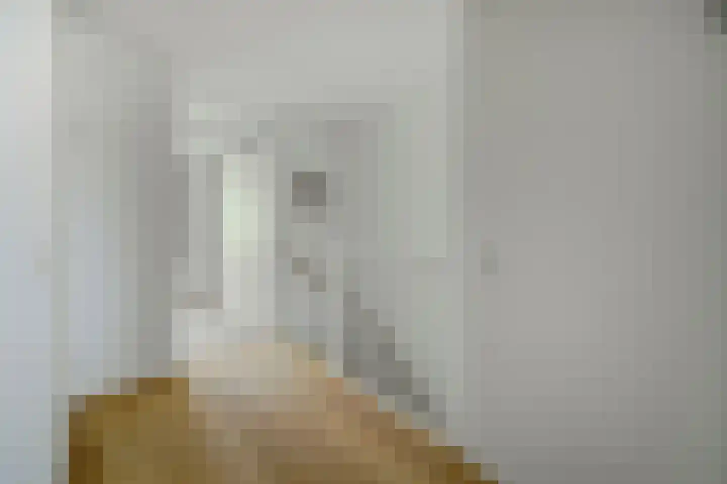Zilverschoonstraat 16 Heinkenszand thumbnail 23