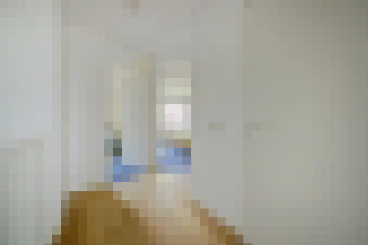 Zilverschoonstraat 16 Heinkenszand thumbnail 24