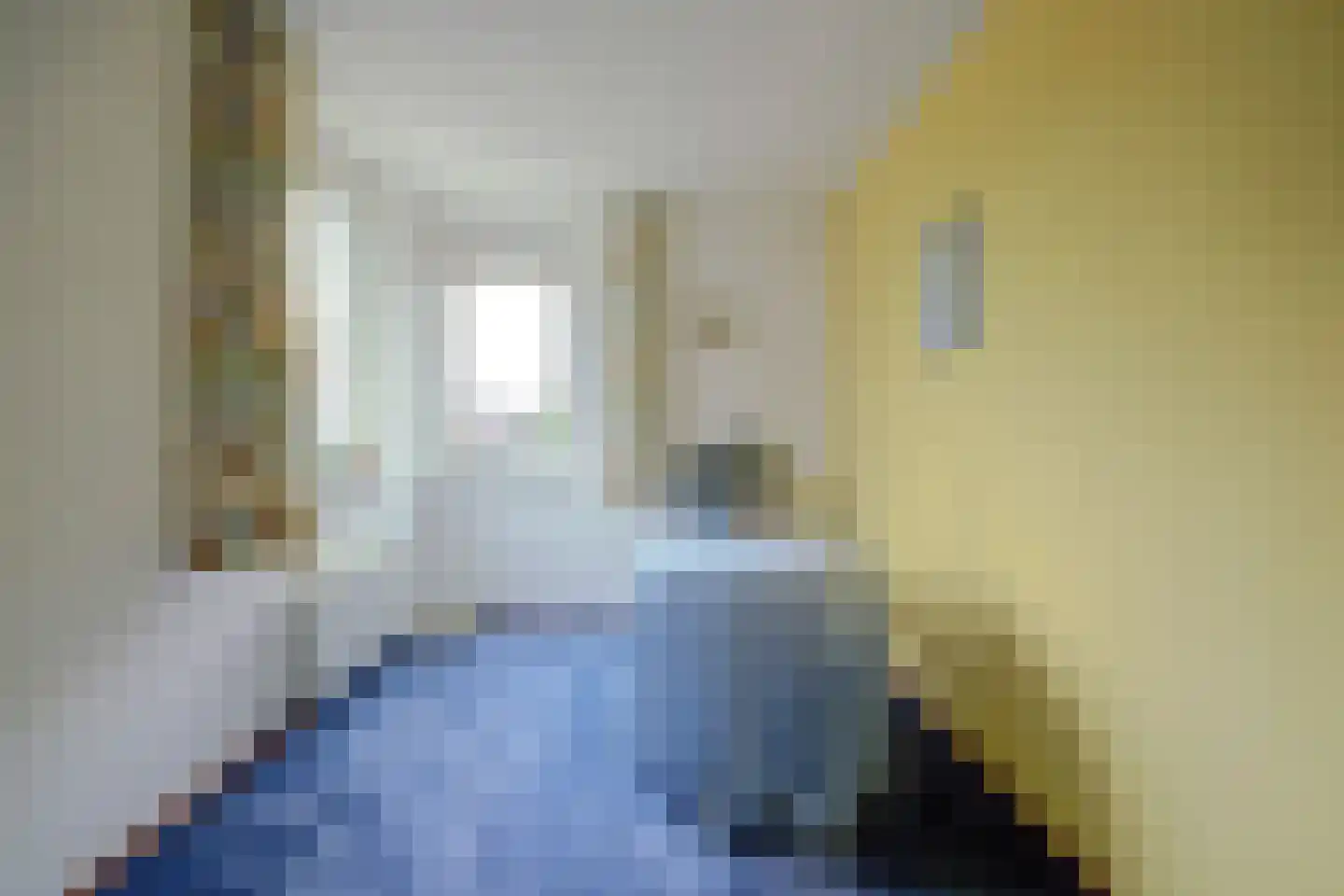 Zilverschoonstraat 16 Heinkenszand thumbnail 27