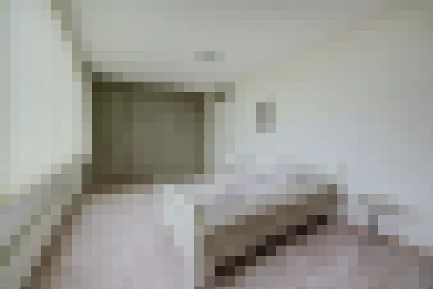 Zilverschoonstraat 16 Heinkenszand thumbnail 30