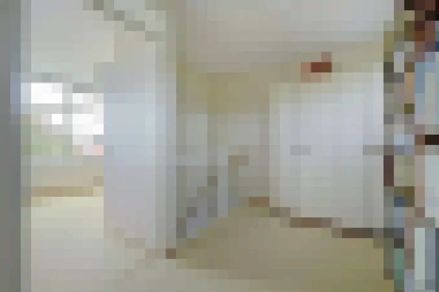 Zilverschoonstraat 16 Heinkenszand thumbnail 35