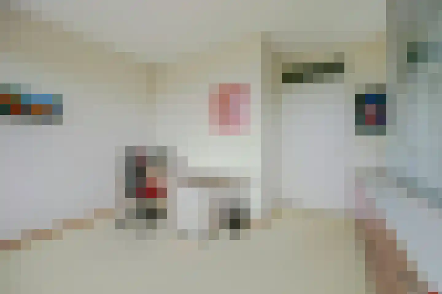 Zilverschoonstraat 16 Heinkenszand thumbnail 37