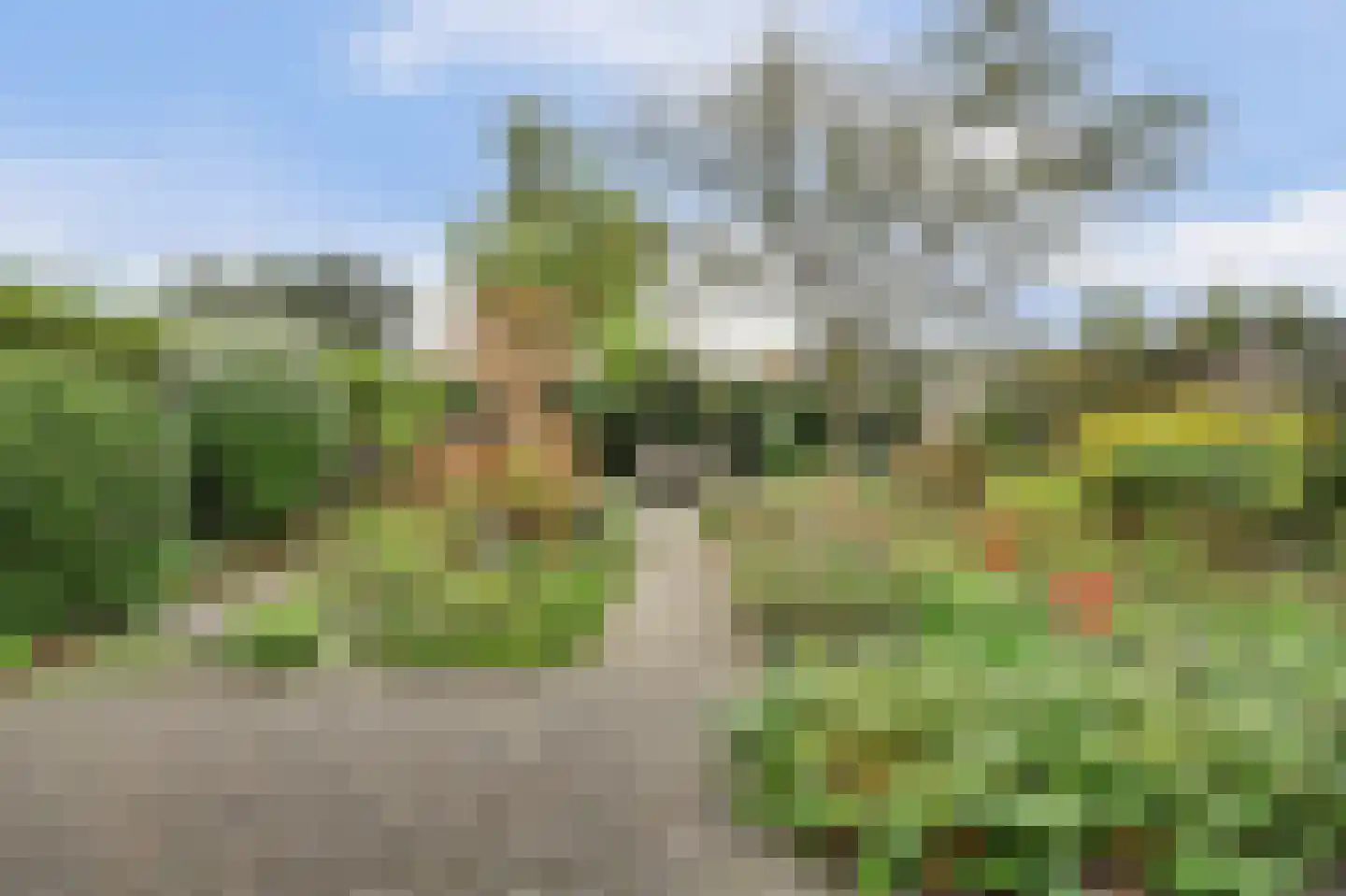 Zilverschoonstraat 16 Heinkenszand thumbnail 40