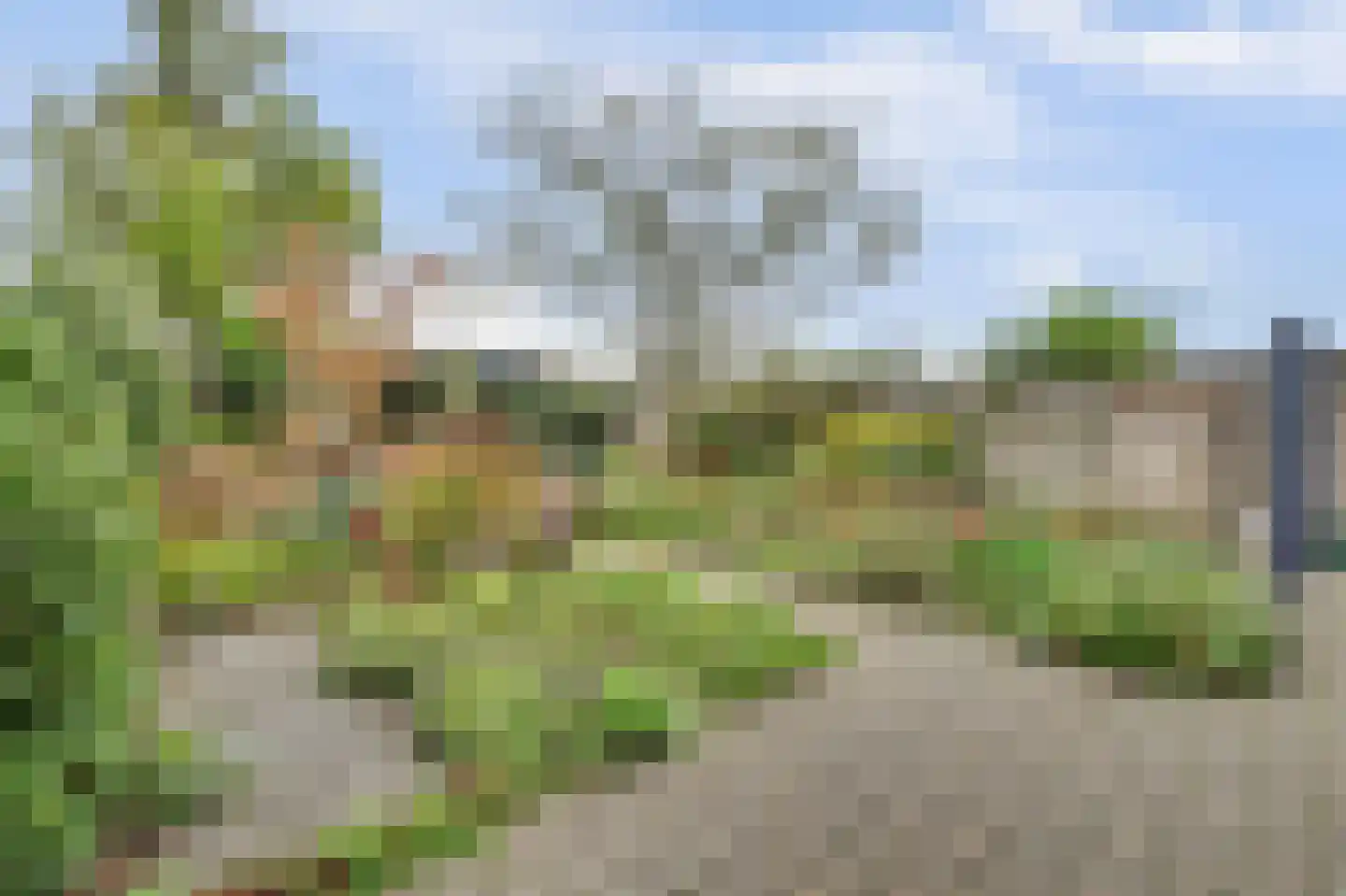 Zilverschoonstraat 16 Heinkenszand thumbnail 42